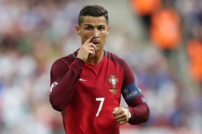 平台服务体系中完美体育官网的表现深度分析